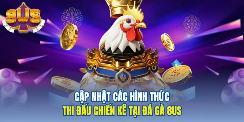Cập nhật các hình thức thi đấu chiến kê tại đá gà 8us