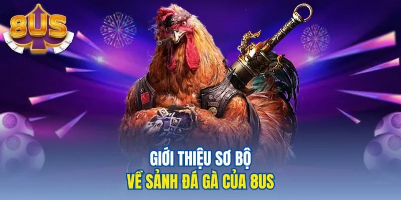 Giới thiệu sơ bộ về sảnh đá gà của 8us