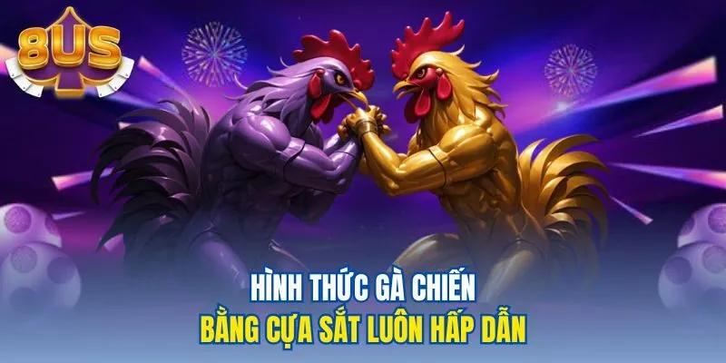 Hình thức gà chiến bằng cựa sắt luôn hấp dẫn