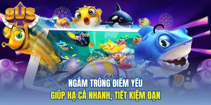 Ngắm trúng điểm yếu giúp hạ cá nhanh, tiết kiệm đạn